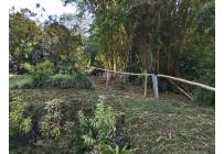Apartamentos, Alquiler, Chorro de Plata - $3.000.000