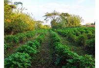 Lotes, Venta, Jamundí - $5.663.100.000