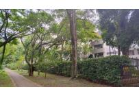 Apartamentos, Venta, Multicentro - $520.000.000
