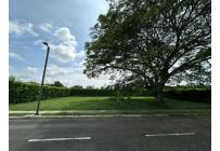 Lotes, Venta, Palmira - $310.000.000