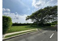 Lotes, Venta, Palmira - $310.000.000