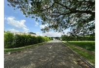 Lotes, Venta, Palmira - $310.000.000
