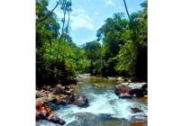 Lotes, Venta, Jamundí - $225.000.000