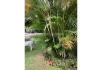 Casas, Venta, Jamundí - $870.000.000