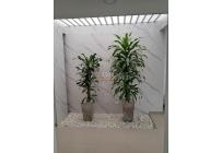 Casas, Venta, Jamundí - $650.000.000