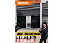 Locales y Bodegas, Venta, Manzanares - $690.000.000