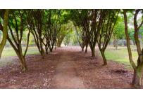 Apartamentos, Venta, Ciudad Jardín - $750.000.000