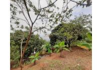 Casas, Venta, Bellavista - $630.000.000