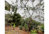 Casas, Venta, Bellavista - $630.000.000