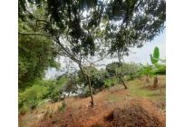 Casas, Venta, Bellavista - $630.000.000