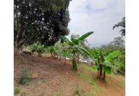 Casas, Venta, Bellavista - $630.000.000