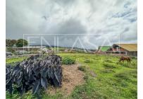 Lotes, Venta, Dagua - $400.000.000