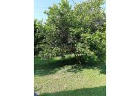 Fincas y Casas Campestres, Venta, Santander de Quilichao - $110.000.000