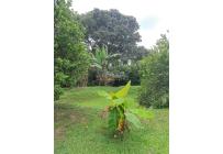 Fincas y Casas Campestres, Venta, Santander de Quilichao - $110.000.000