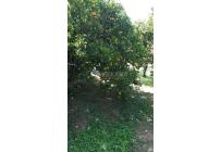 Fincas y Casas Campestres, Venta, Santander de Quilichao - $110.000.000
