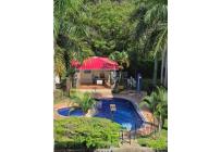 Apartamentos, Alquiler, Prados del Limonar - $1.350.000