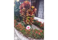 Casas, Venta, Primero de Mayo - $455.000.000
