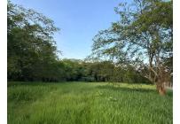 Lotes, Venta, Pance - $2.300.000.000