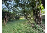 Lotes, Venta, Pance - $2.300.000.000