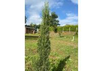 Fincas y Casas Campestres, Venta, Dagua - $450.000.000