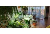 Casas, Venta, Jamundí - $650.000.000