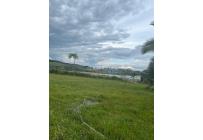 Lotes, Venta, Calima (Darién) - $520.000.000