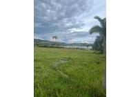 Lotes, Venta, Calima (Darién) - $520.000.000