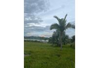 Lotes, Venta, Calima (Darién) - $520.000.000