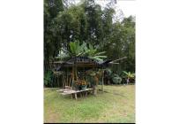 Fincas y Casas Campestres, Venta, Dagua - $750.000.000