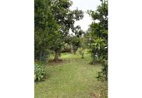 Fincas y Casas Campestres, Venta, Dagua - $750.000.000