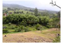 Fincas y Casas Campestres, Venta, Dagua - $750.000.000