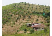 Fincas y Casas Campestres, Venta, Restrepo - $480.000.000