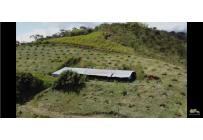 Fincas y Casas Campestres, Venta, Restrepo - $480.000.000