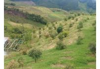 Fincas y Casas Campestres, Venta, Restrepo - $480.000.000