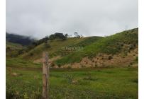 Fincas y Casas Campestres, Venta, Restrepo - $480.000.000