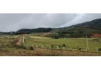 Lotes, Venta, Dagua - $185.000.000