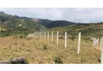 Lotes, Venta, Dagua - $185.000.000