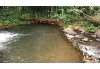 Lotes, Venta, Dagua - $185.000.000