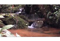 Lotes, Venta, Yumbo - $285.000.000