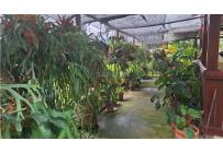 Fincas y Casas Campestres, Venta, Dagua - $780.000.000