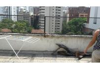 Apartamentos, Alquiler, Arboleda - $3.000.000