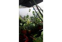 Apartamentos, Alquiler, Arboleda - $3.000.000