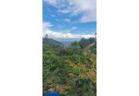 Fincas y Casas Campestres, Venta, Vijes - $700.000.000