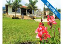 Fincas y Casas Campestres, Venta, Calima (Darién) - $1.250.000.000