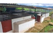 Fincas y Casas Campestres, Venta, Dagua - $700.000.000