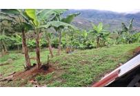 Fincas y Casas Campestres, Venta, Dagua - $700.000.000