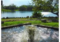 Lotes, Venta, Palmira - $457.000.000