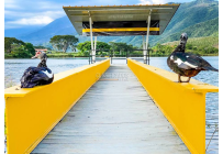 Lotes, Venta, Palmira - $457.000.000