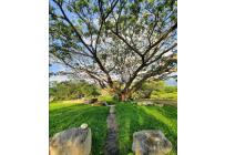 Lotes, Venta, Palmira - $457.000.000