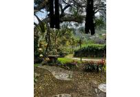 Casas, Venta, La Reforma - $850.000.000